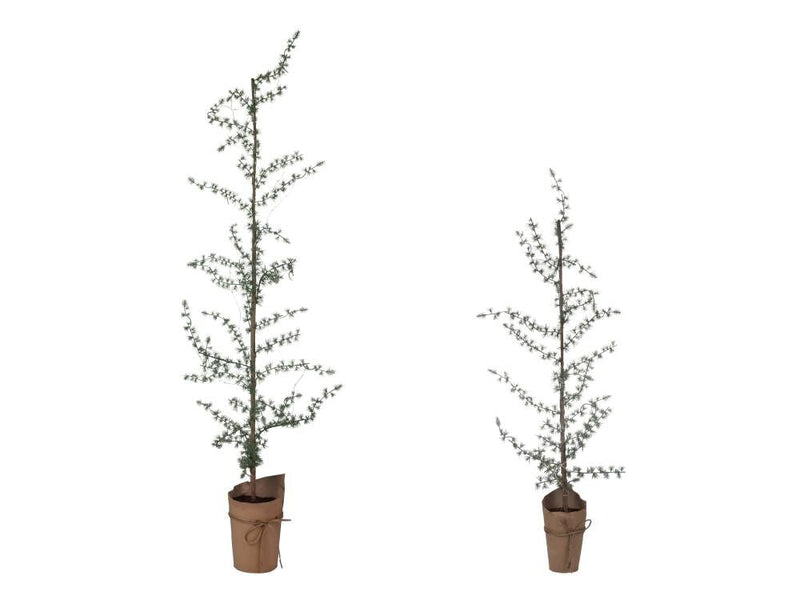 Ceder met LED licht - 150 cm