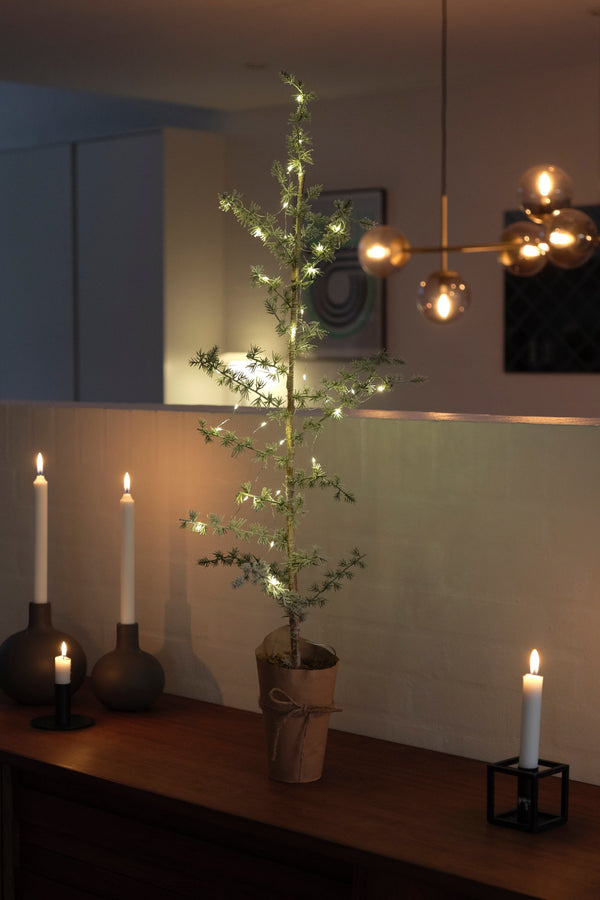 Ceder met LED licht - 150 cm
