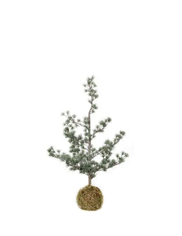 Zijden denneboomo met 40 LED lampjes - 75 cm