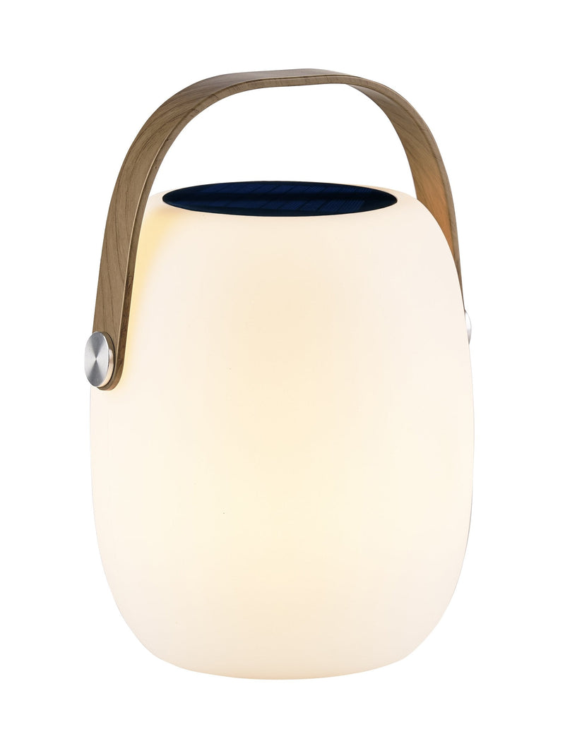 Oplaadbare Woody LED zonnelamp - incl. Afstandsbediening